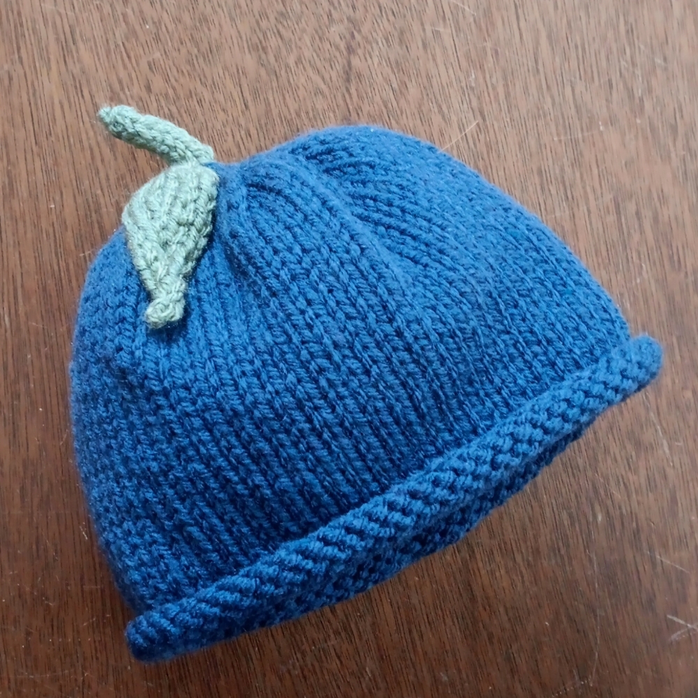 Hand Crafted Handknit Navy Blue & Green Blueberry Winter Baby Hat 3-6M